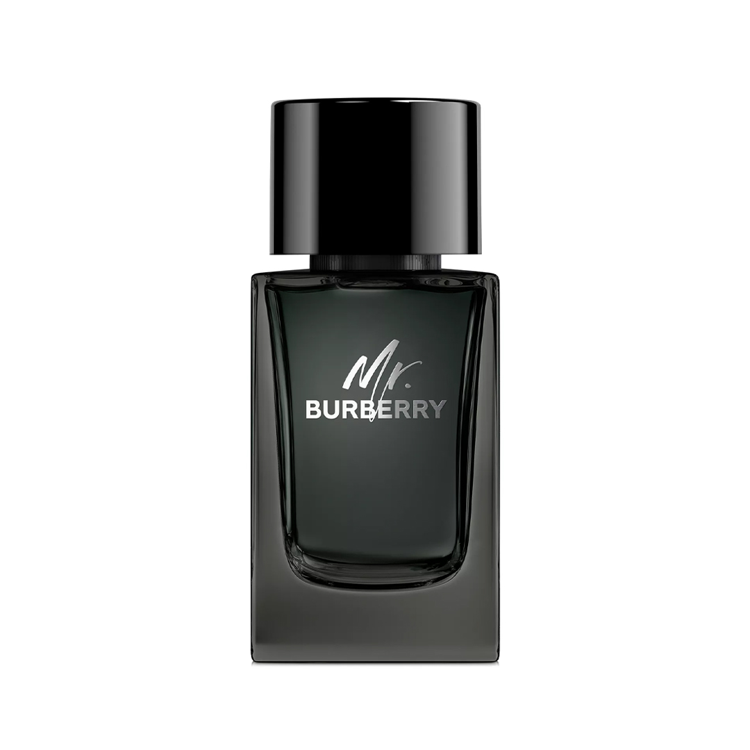 Mr burberry cheap eau de parfum