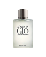 Giorgio Armani Acqua Di Gio Homme EDT 100ml