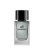 Burberry Mr. Burberry EDT 100ml