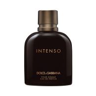Dolce & Gabbana Intenso Pour Homme EDP 125ml